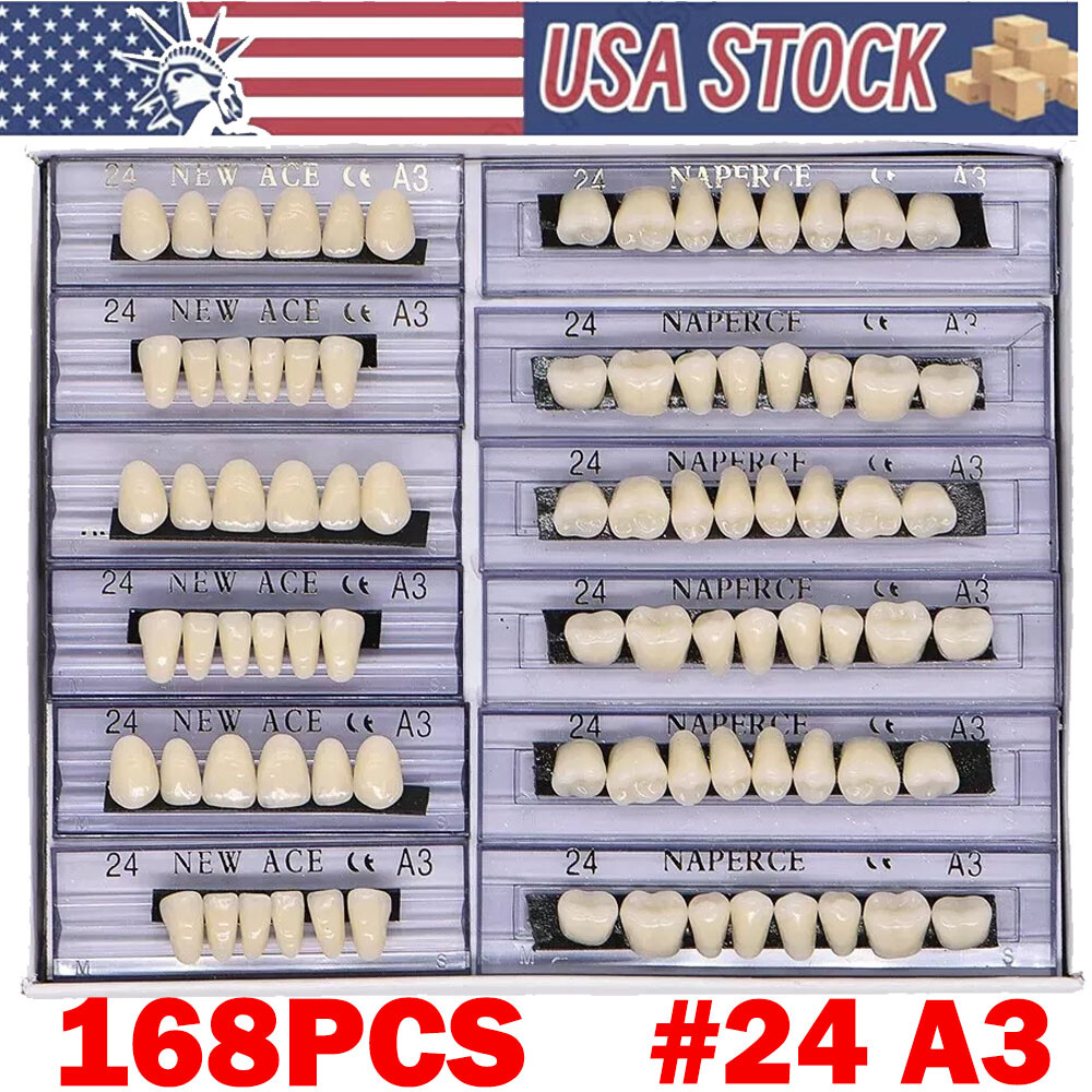 168Pcs Dental Acrylic Resin Denture A3#24 Shade Full Upper Lower False Teeth NEW