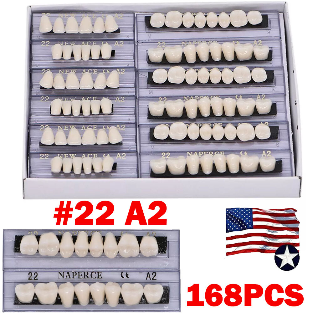 168PC Acrylic Resin Denture #22 Dental Upper Lower Shade A2 Teeth Set 22# A2 US