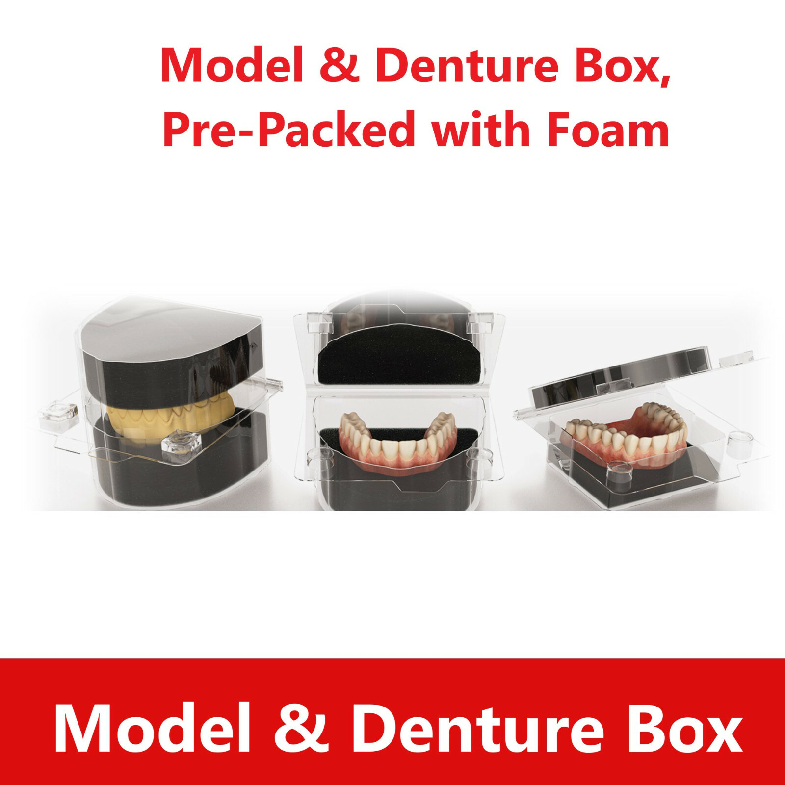 Dental Laboratory Model Box Denture Box Ortho Appliance Care Box, Lab Supplies