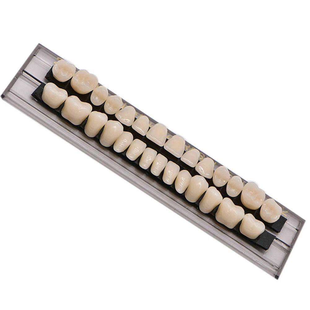 28Pcs/Set Laboratory Dental Temporary Acrylic Resin Denture Full Set False Teeth