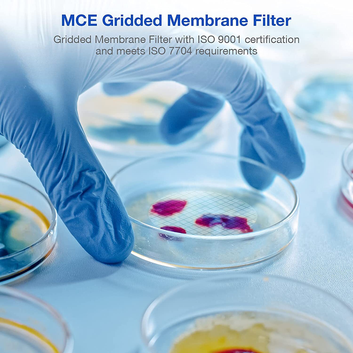 Sterile MCE Gridded Membrane Filter Diameter:47mm Pore:0.45 Micron Pack of 100
