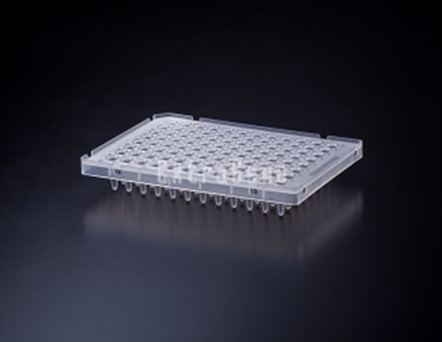 Extragene 0.1ml qPCR low profile Plate 96 Well Half Skirt DNaseRNase free 10/Pk