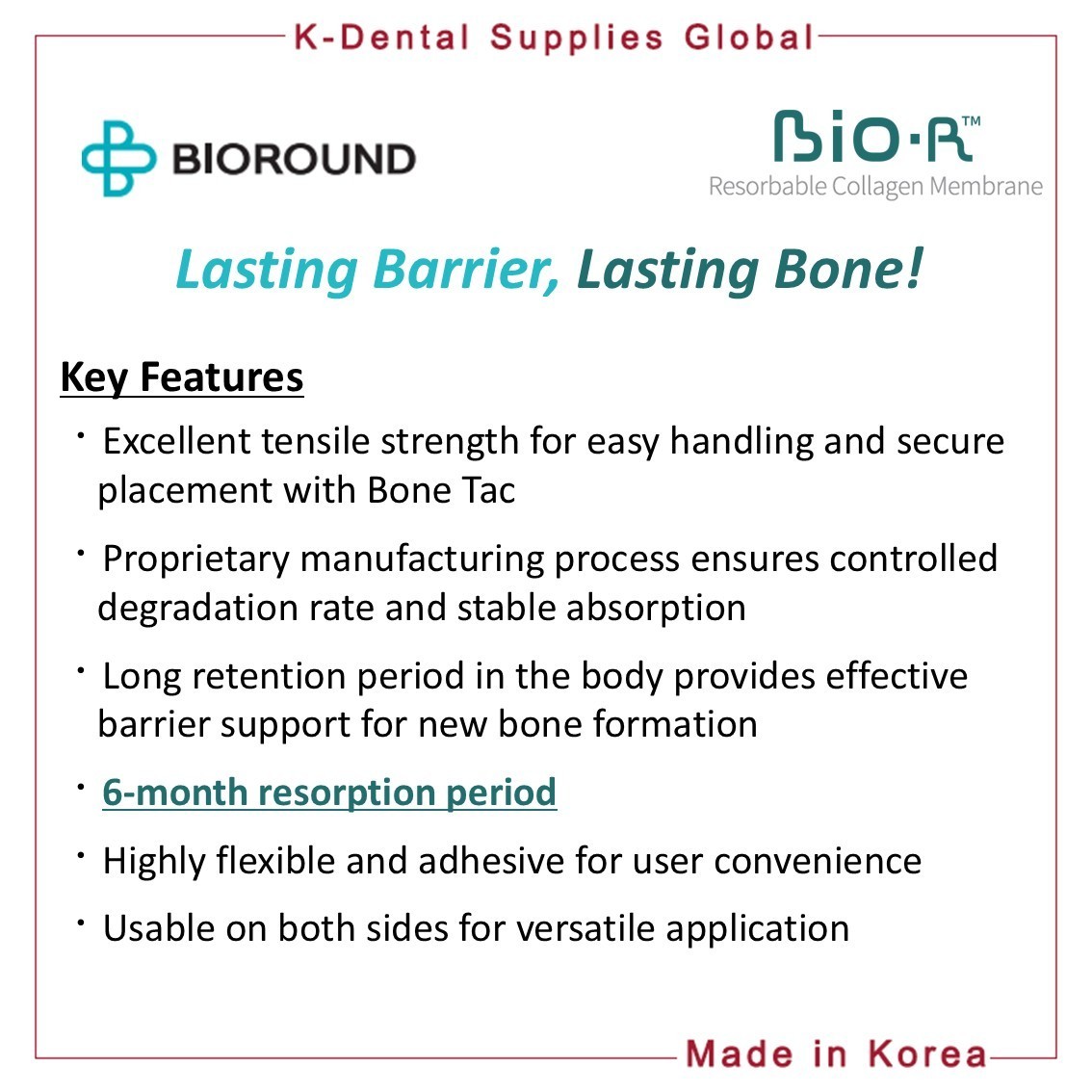 BIO-R Resorbable Collagen Membrane 4 Sizes