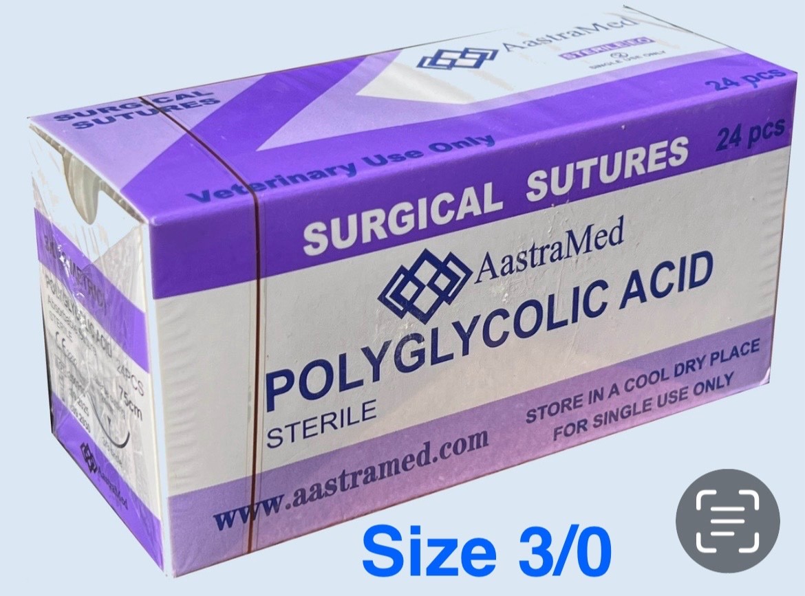 PGA Suture 3/0 Polyglycolic Acid 24ct Veterinary Dental Surgery Medical Training