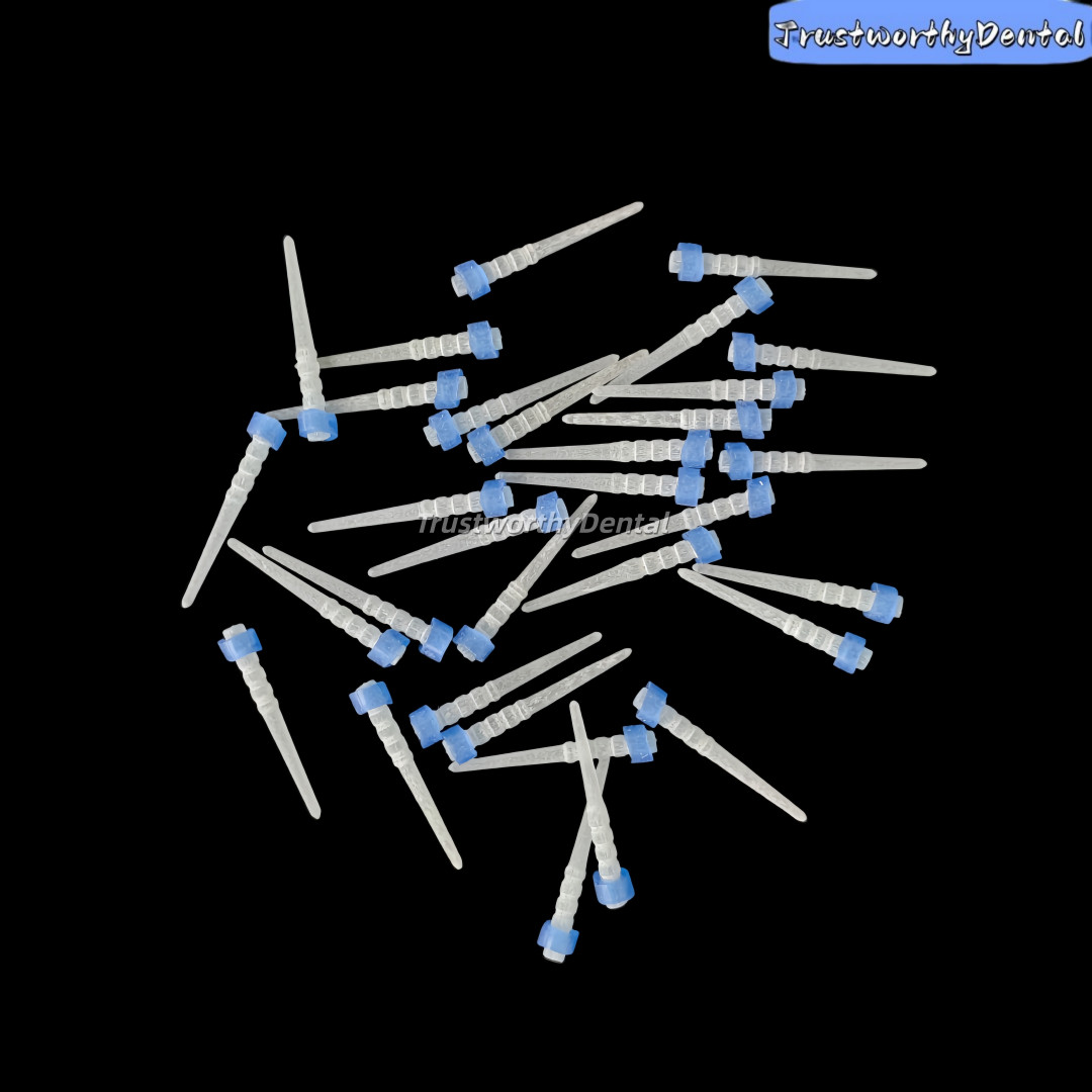3D Macro Retention Dental Fiber Post Coronal Glass Screw Fibre Root Posts
