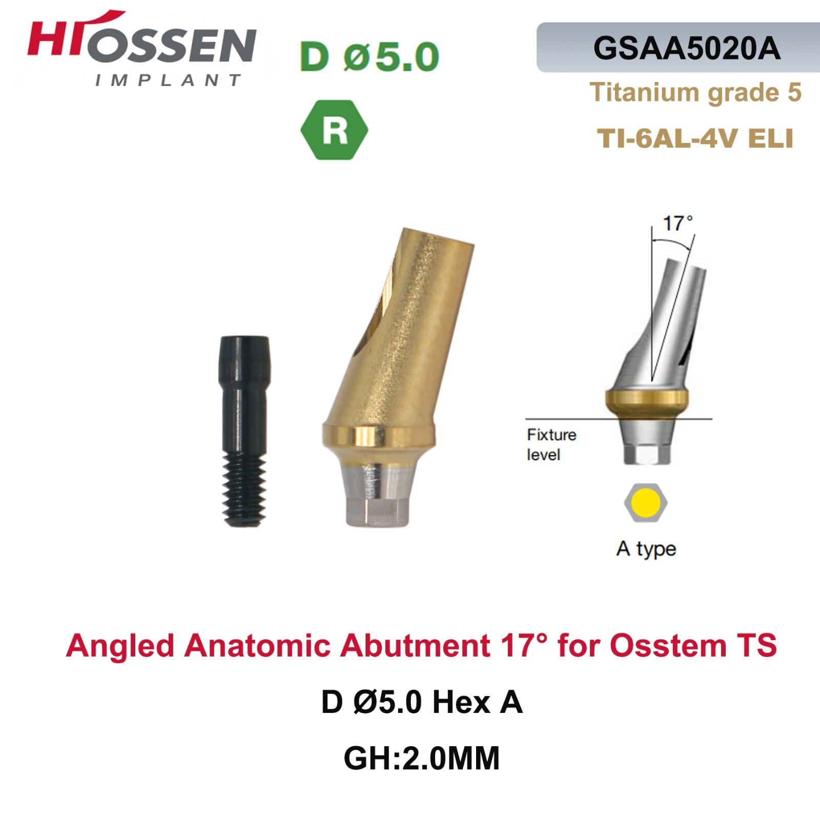 US 17° Angulated Abutment Mini/Regular Hex A/B Transfer Fit Osstem TS/Hiossen ET