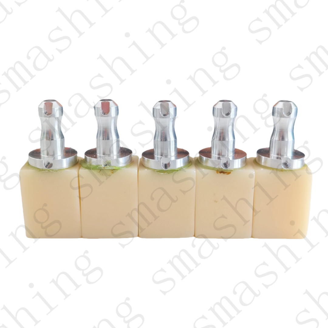 Dental Non Firing PMMA C14/B40 Block CAM CAD CEREC A2 Milling Sirona Free Sinter