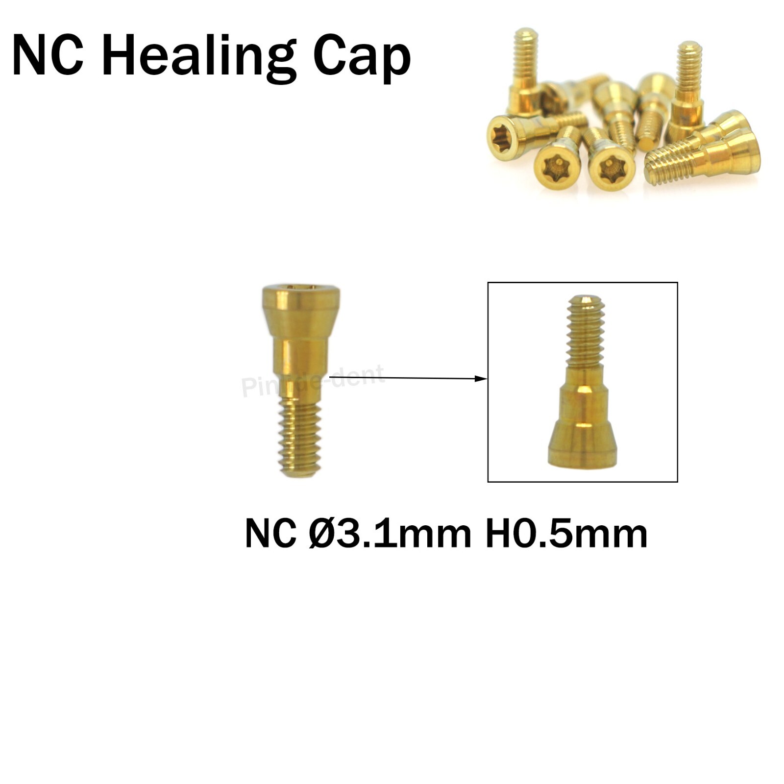 Dental Healing Abutment NC Ø3.6/4.8mm Dia Cover Screw fits ITI Straumann BL/BLT