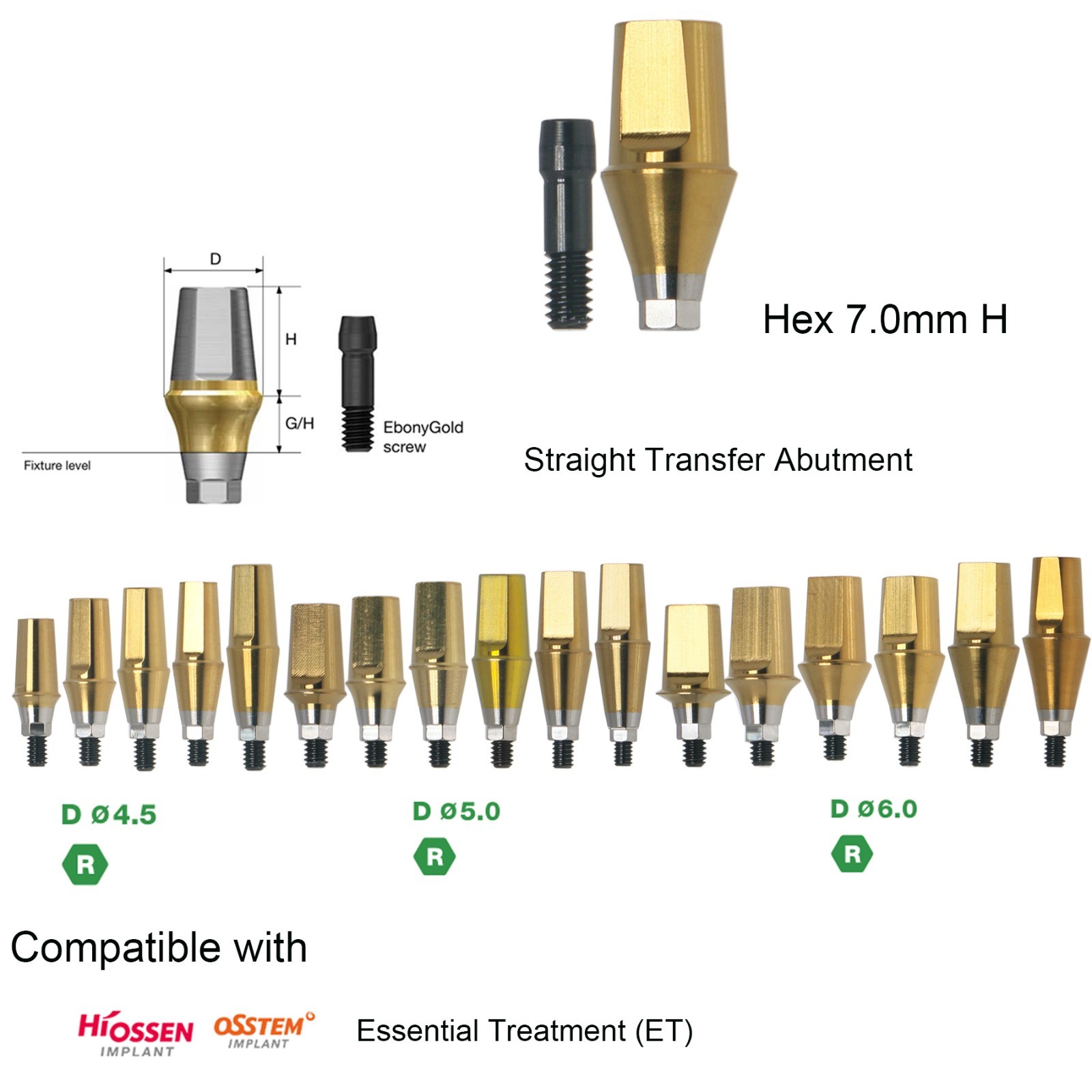 Hiossen ET TS Ti Straight Regular Hex Abutment Single Crown Implant Fixed Bridge