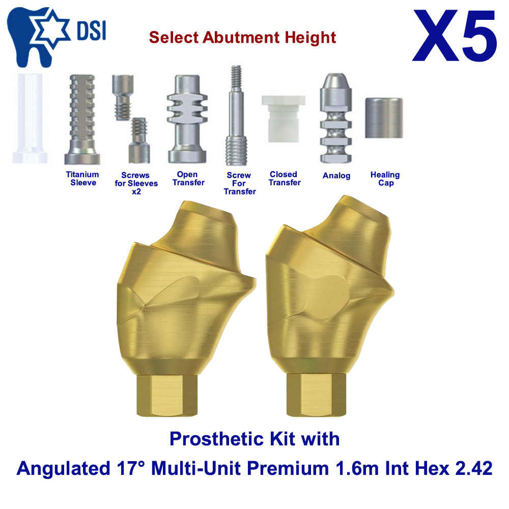 5x Prosthetic Kit DSI Angulated Abutment 17° Multi-Unit 1.6m Int Hex 2.42