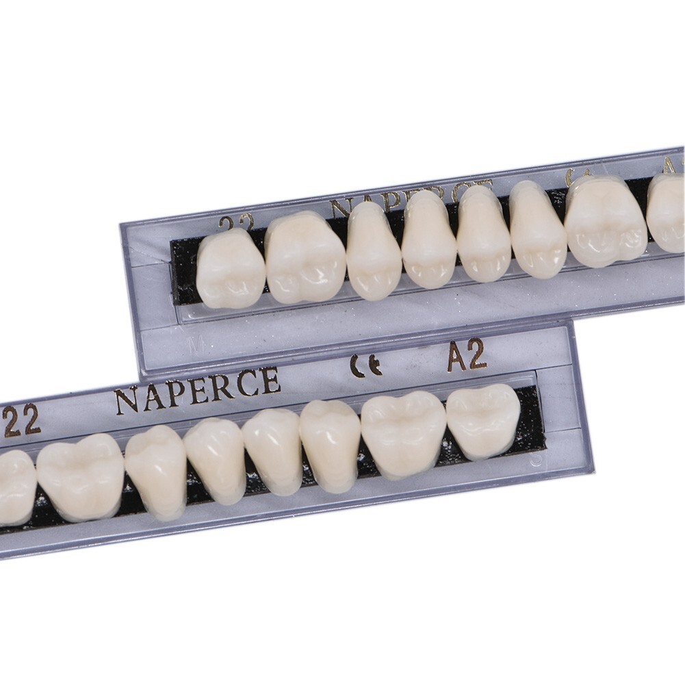 168Pcs Acrylic Resin Denture #22 Dental Upper Lower Shade A2 Teeth Set 22#A2 USA