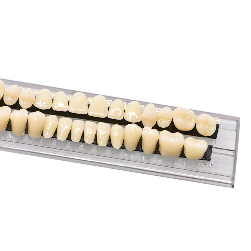Dental Acrylic Resin Denture 23# A2 A3 Shade Full Set Teeth Anterior Posterior
