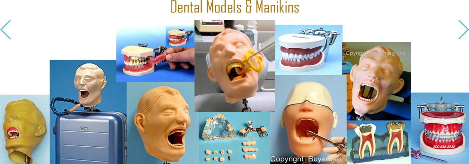 Dental X-Ray Mouth Close Mechanism For X-Ray Model