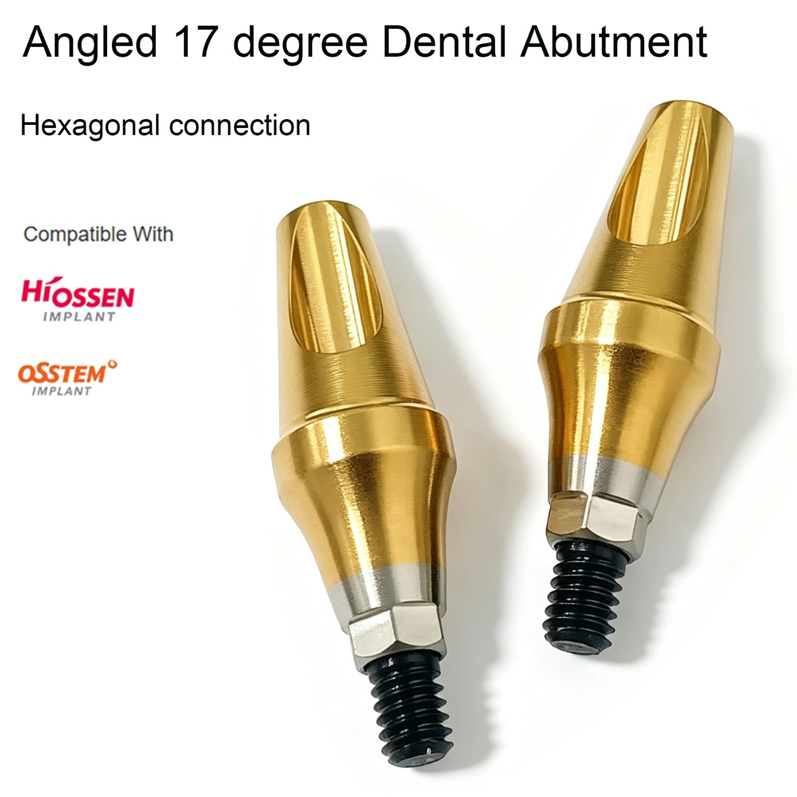 US Dental 17° Angled Anatomic Cemented Abutment for Hiossen ET OSS Regular Mini