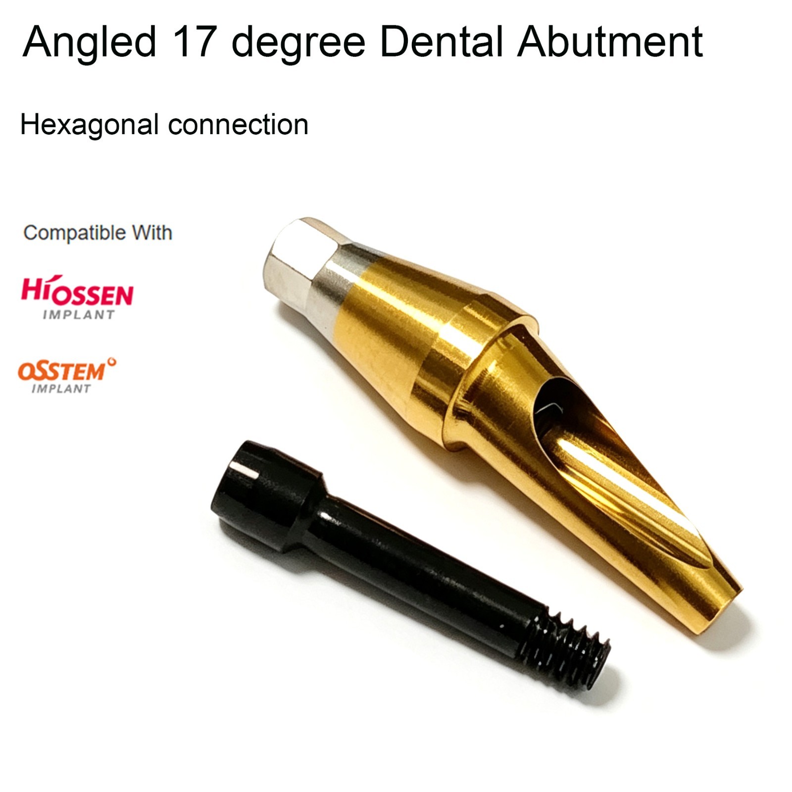 US Dental 17° Angled Anatomic Cemented Abutment for Hiossen ET OSS Regular Mini