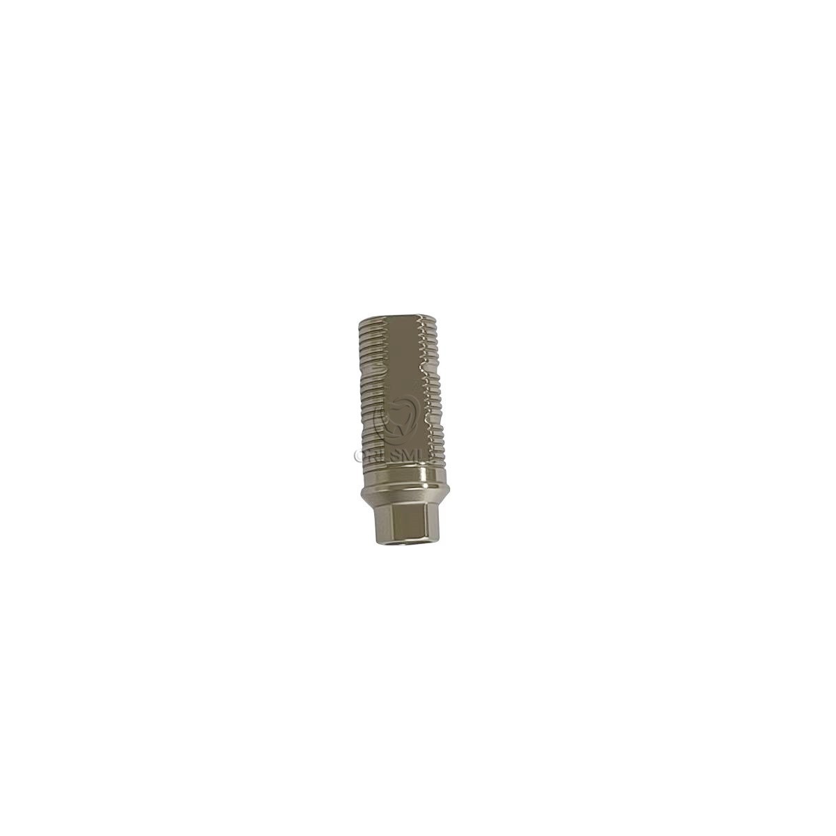 1 pcs Ti-base Abutment CAD/CAM ti base compatible with BEGO