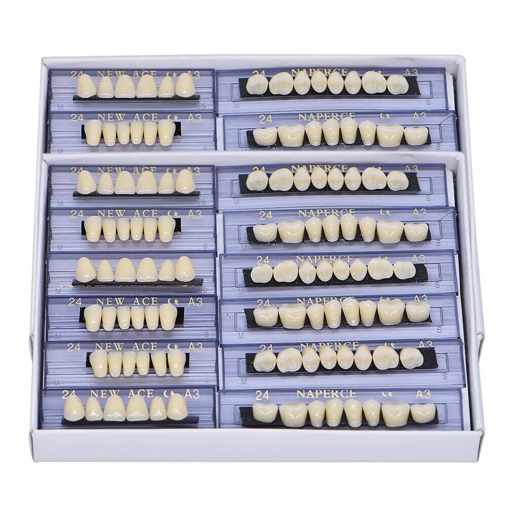 168Pcs Dental Acrylic Resin Denture A3#24 Shade Full Upper Lower False Teeth HOT