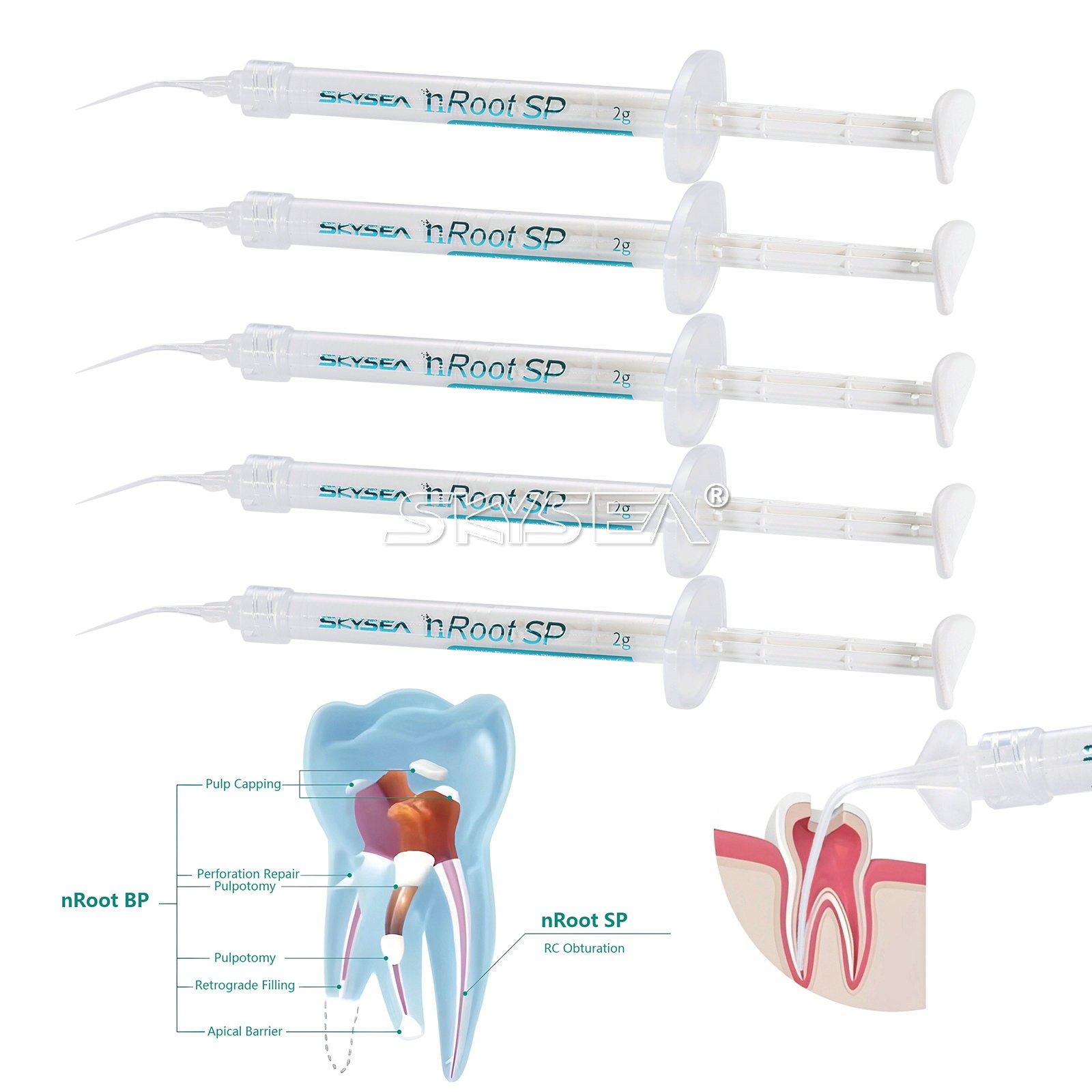 Dental Root canal bioceramic sealer/Repair Root Canal Endo Filling Cement 2g po