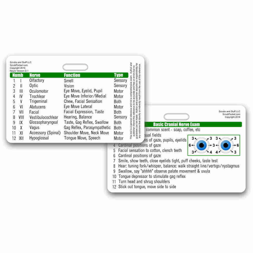 Cranial Nerves Horizontal Badge ID Card Pocket Nurse RN EMT MA Paramedic LPN