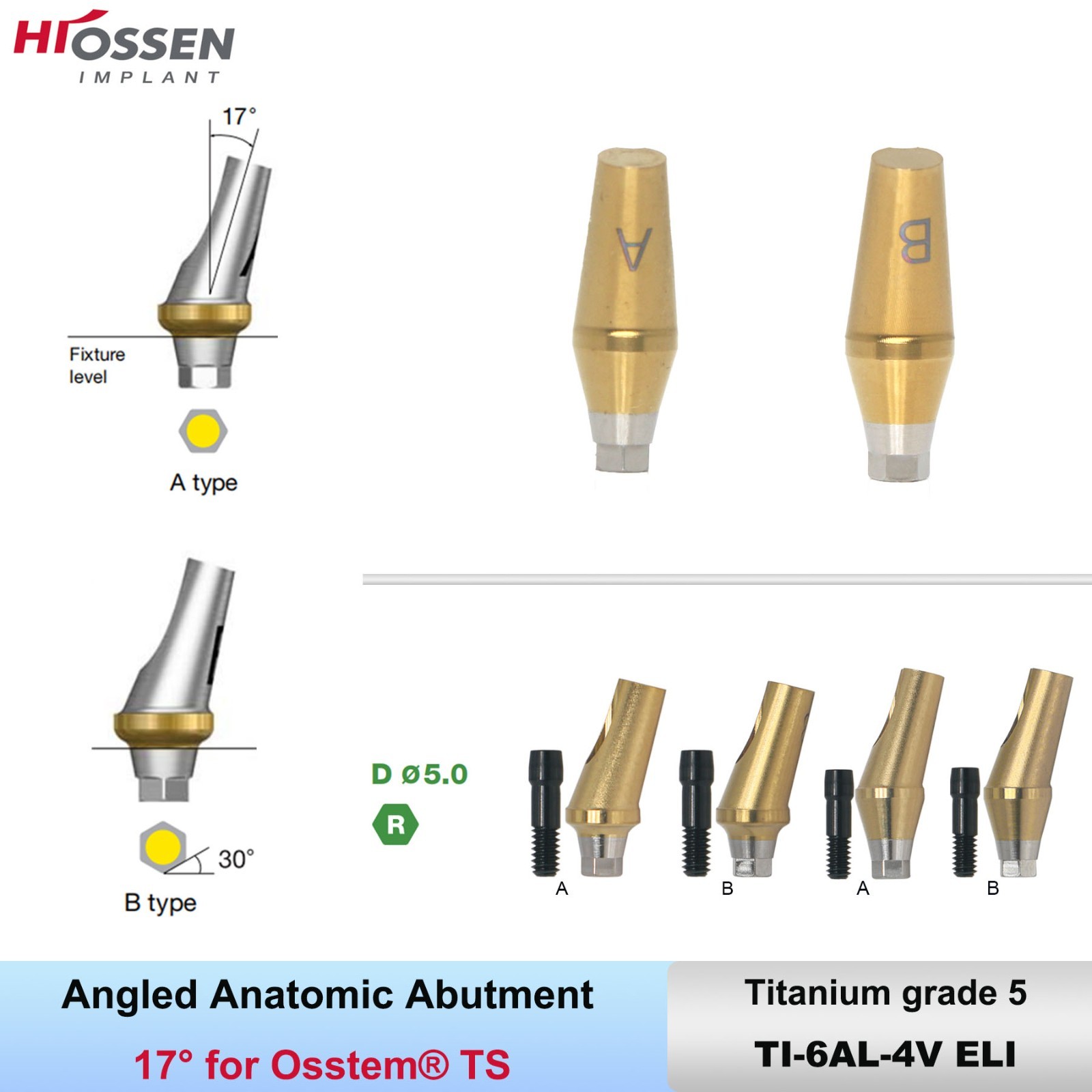 US 17° Angulated Abutment Mini/Regular Hex A/B Transfer Fit Osstem TS/Hiossen ET