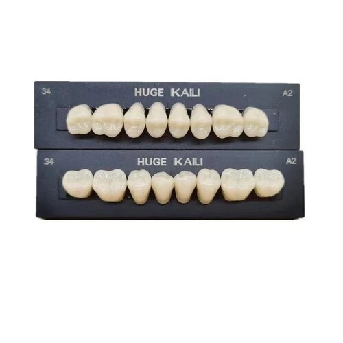 Dental Synthetic Polymer Teeth Resin False Teeth Denture Replacement 28/P