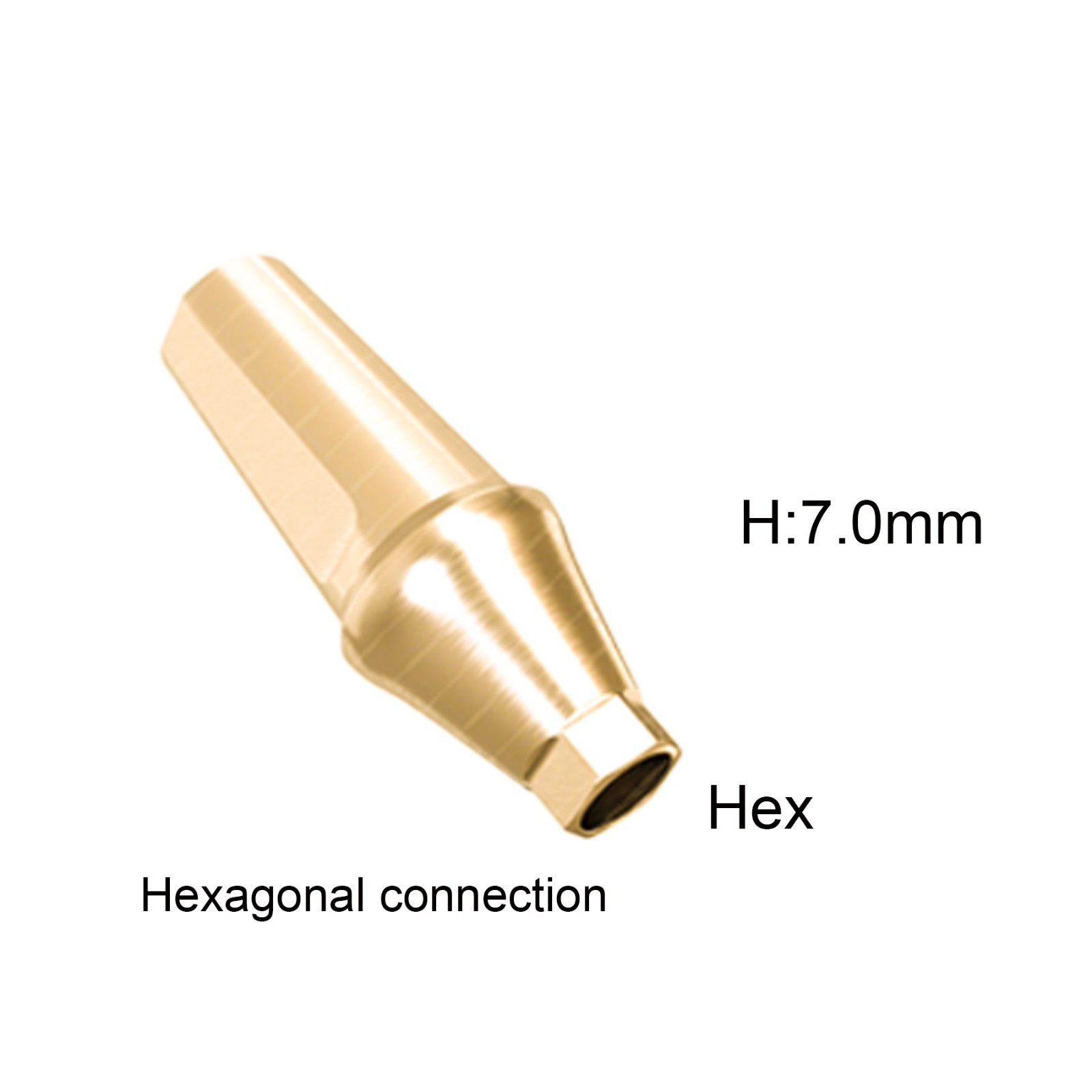 US Dental Titanim Hiossen ET Straight Transfer Abutment Mini/Regualr fit 1-6.0mm