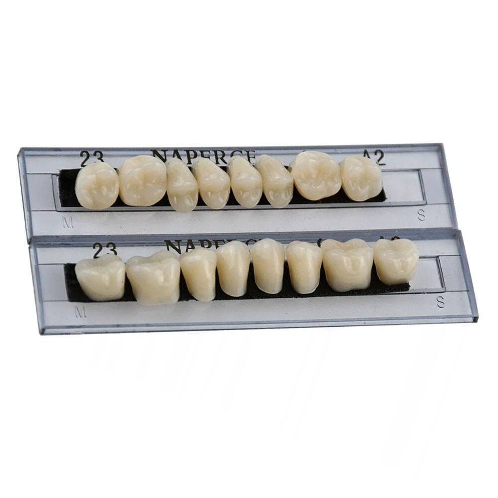 168Pcs Acrylic Resin Denture #23 Dental Upper Lower Shade A2 Teeth Set USA