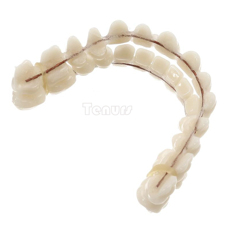5setResin Teeth 22/23/24 #A2 Denture Manufactured Artificial Preformed Dentition