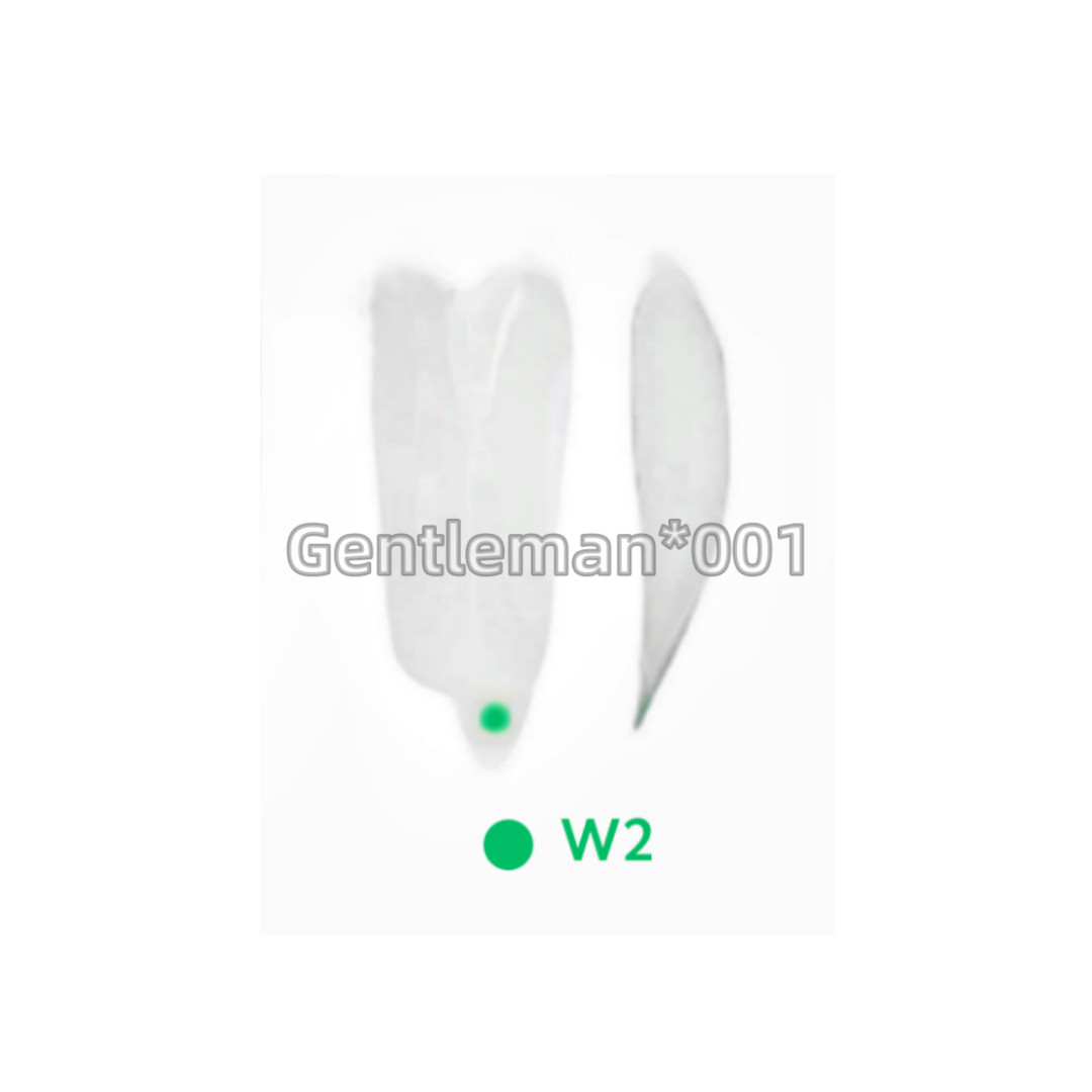 35pcs Dental Clear Matrix Anterior Restorative BT Bow Matrices Fit BioClear