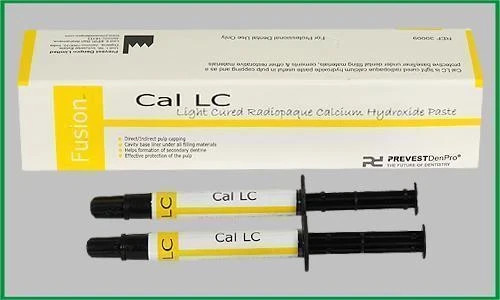 CAL LC Light Cured Radiopaque Calcium Hydroxide Paste 2 x 2gm INTRO PACK
