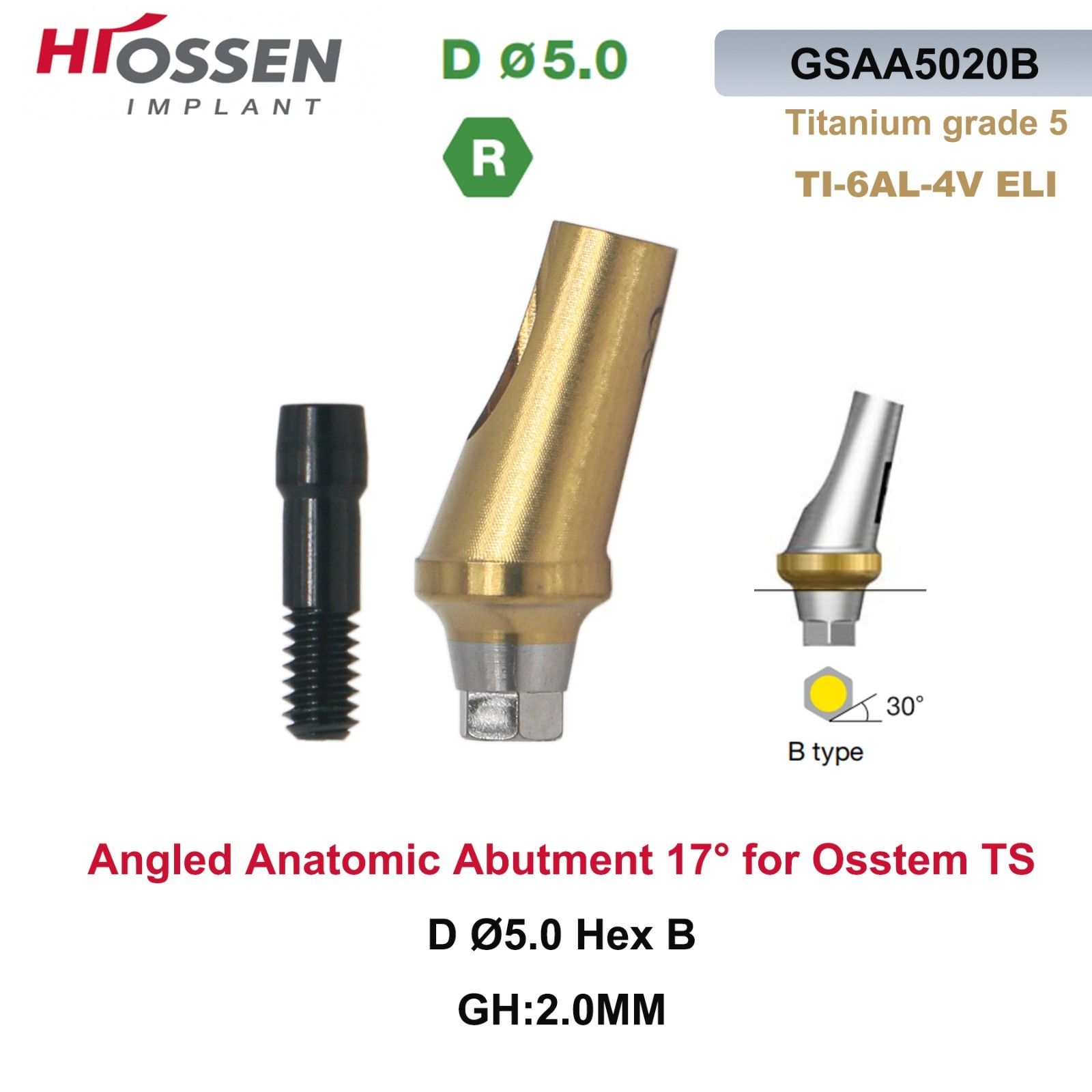 US 17° Angulated Abutment Mini/Regular Hex A/B Transfer Fit Osstem TS/Hiossen ET