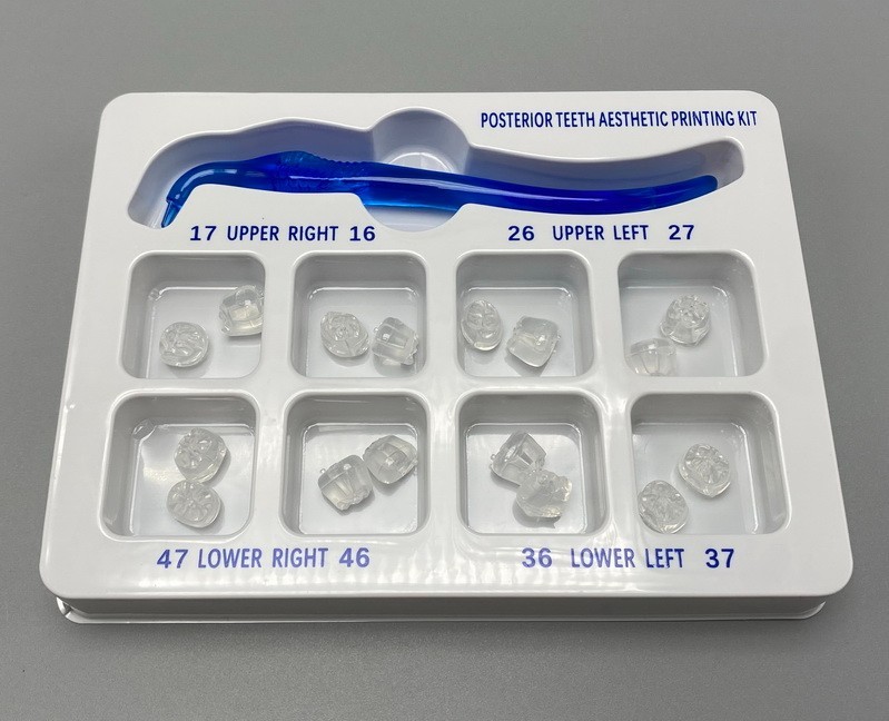 Dental Veneer Mould Composite Resin Anterior Posterior Teeth Molar Restoration