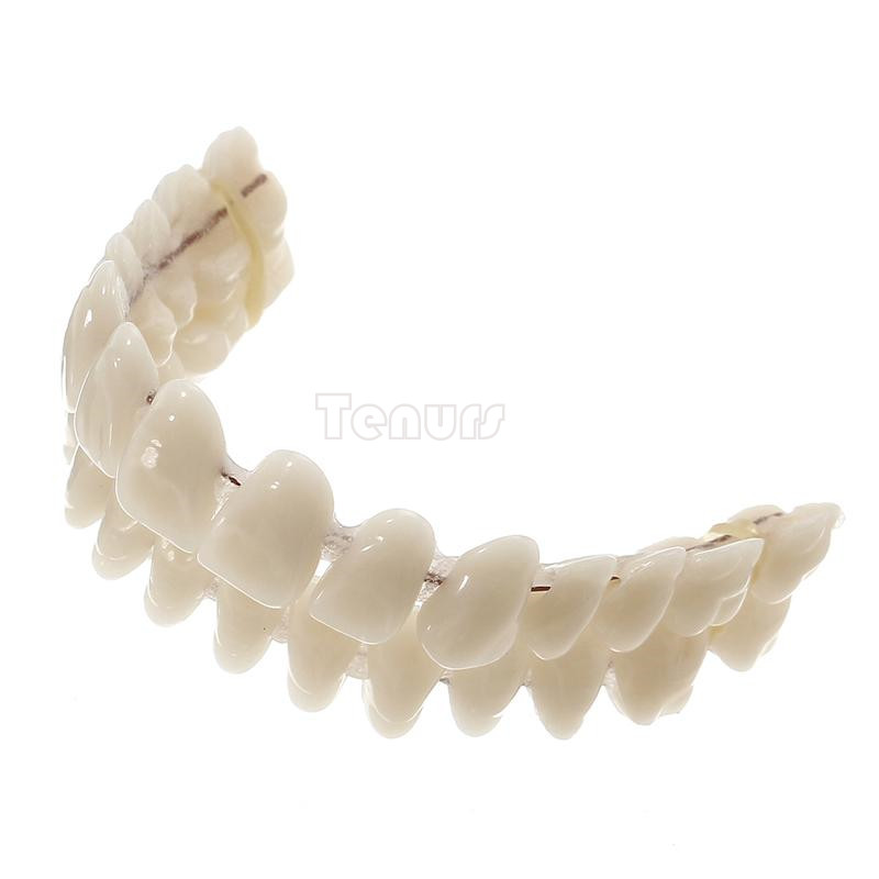 5setResin Teeth 22/23/24 #A2 Denture Manufactured Artificial Preformed Dentition