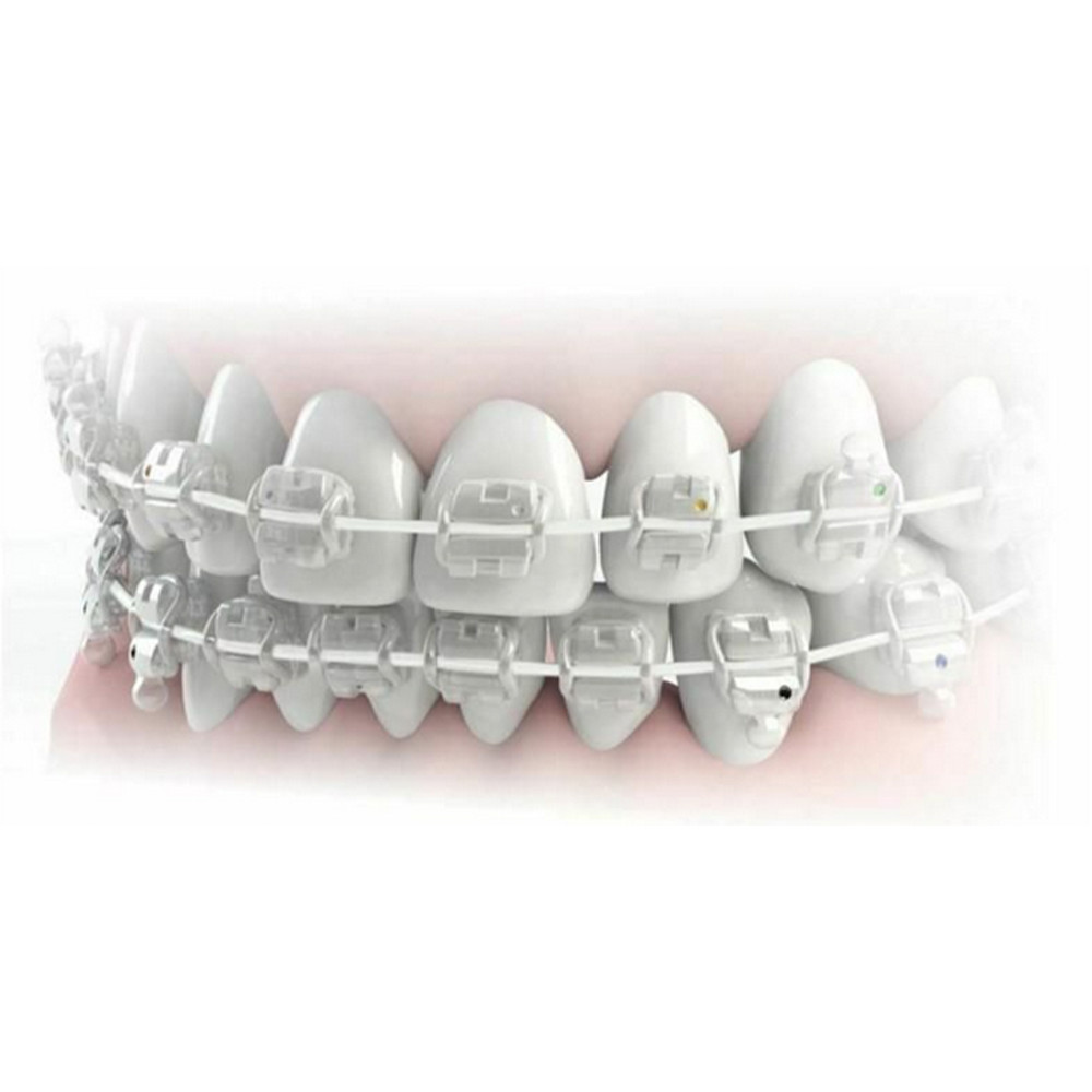 5pcs Dental Morelli NiTi Aesthetic SuperElastic Archwire Round Upper Lower Jaw