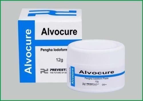 Alvocure dry socket paste 12g Prevest Denpro Free II Ship