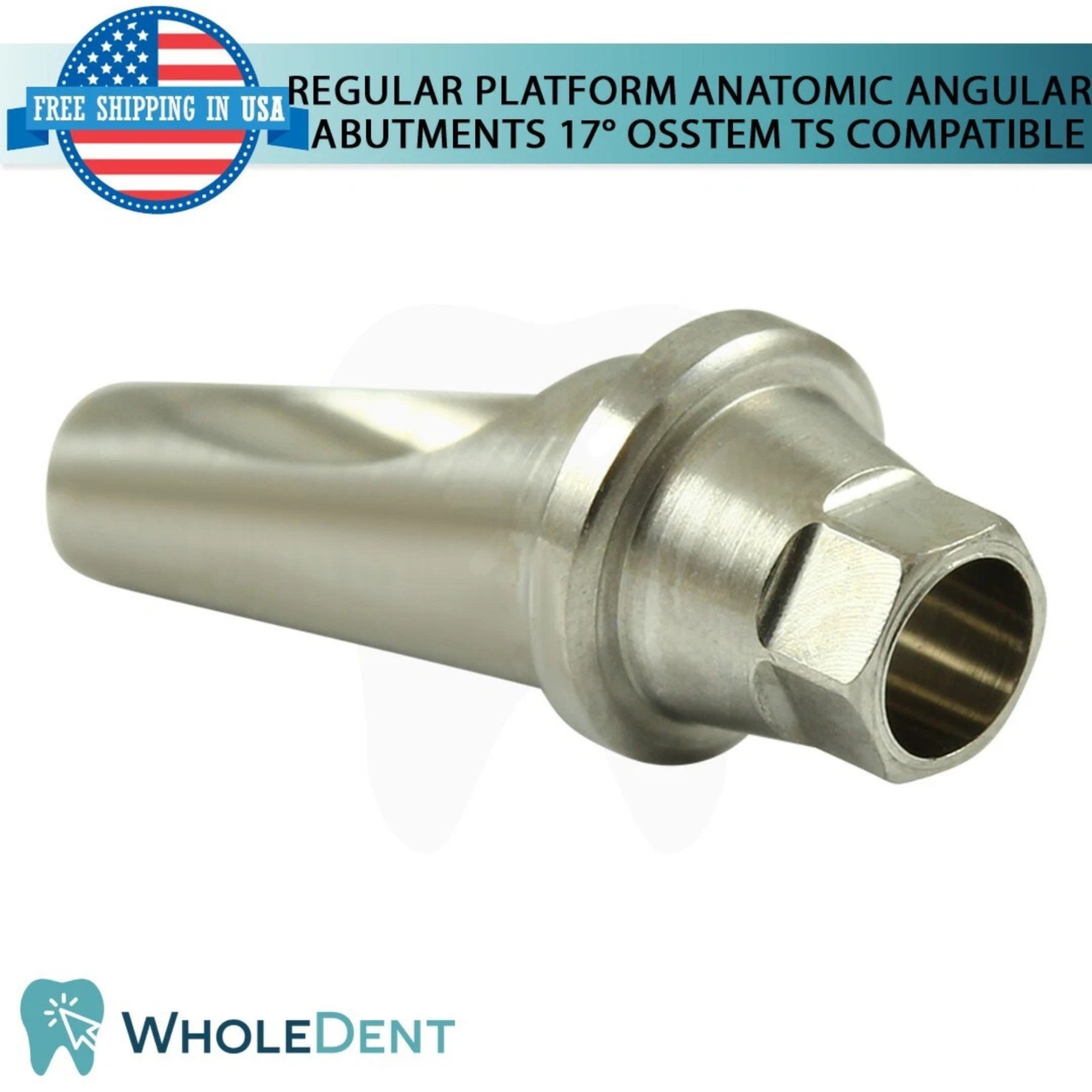 1x Dental Titanium Angled Anatomic 17° Prosthetic 0sstem® TS Regular Compatible