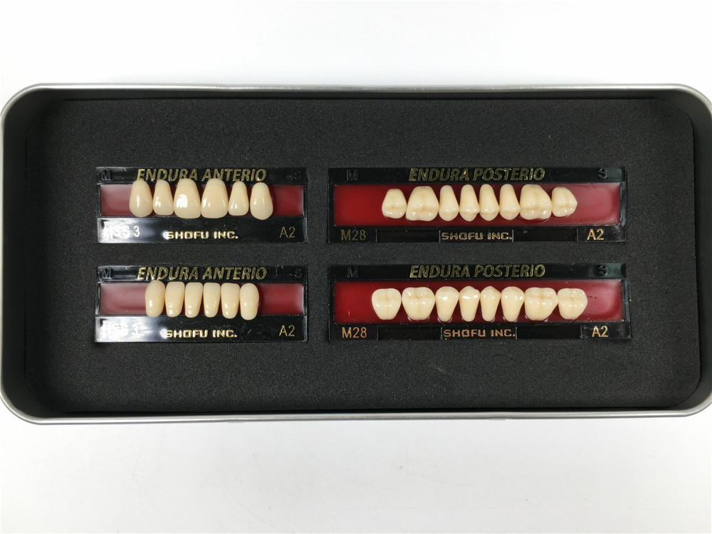 1 Box of SHOFU ENDURA Dental Denture False Teeth Resin A2 M28 M30 M32 Plastic