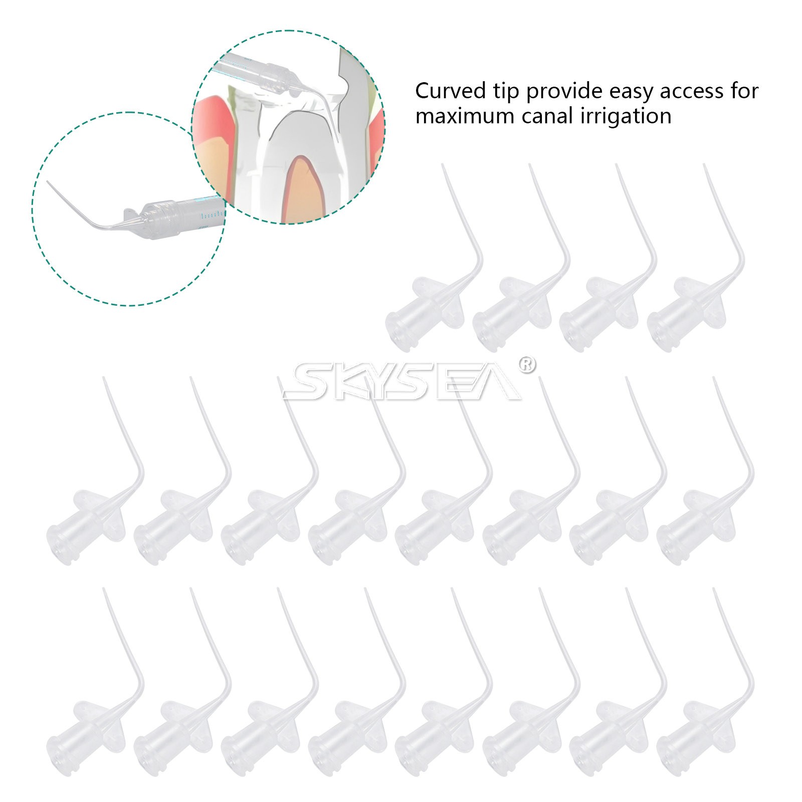 Dental Root canal bioceramic sealer/Repair Root Canal Endo Filling Cement 2g po
