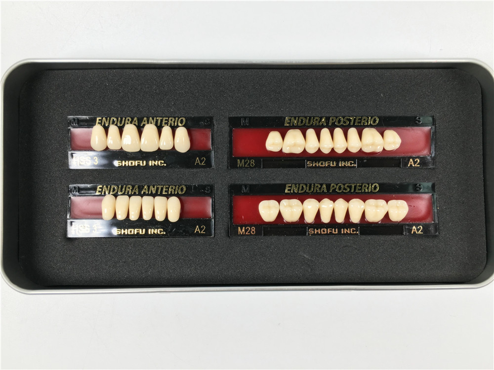 1 Box of SHOFU ENDURA Dental Denture False Teeth Resin A2 M28 M30 M32 Plastic