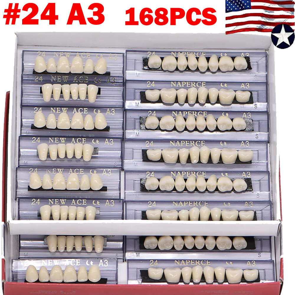 168Pcs Dental Acrylic Resin Denture A3#24 Shade Full Upper Lower False Teeth US