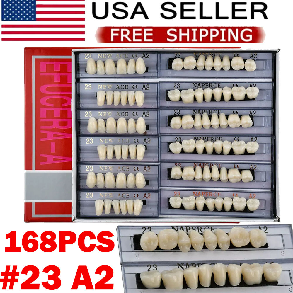 168Pcs/Box Acrylic Resin Denture #23 Dental Upper Lower Shade A2 Teeth Set US
