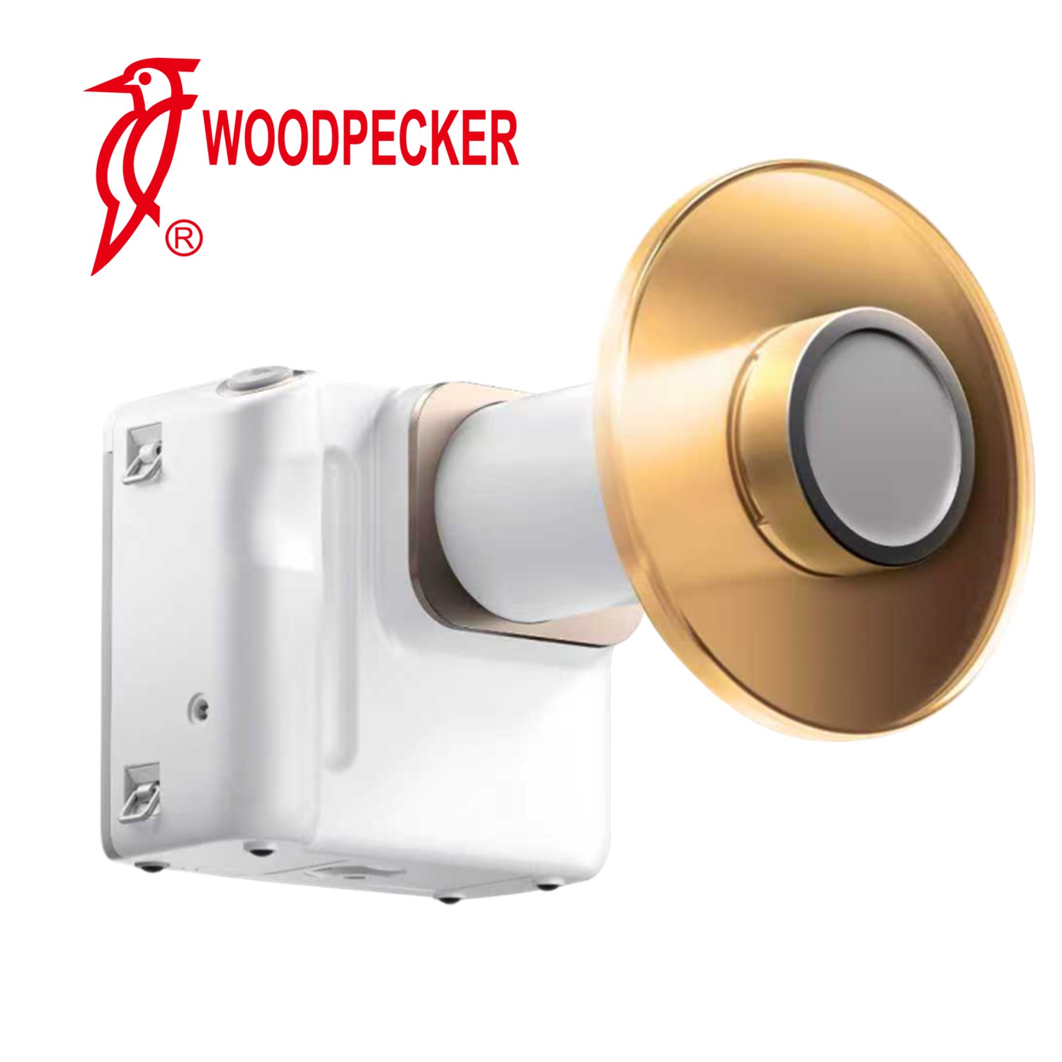 Woodpecker Master Ray Portable Lightweight Powerful Camera Style Machine 140W