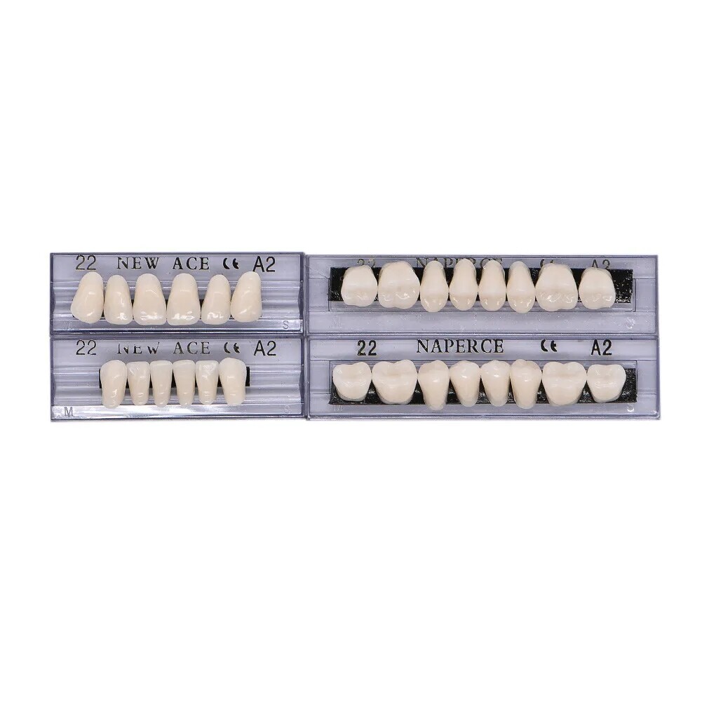 168X Acrylic Resin A1/A2/A3 Dental Denture Teeth Upper Lower Shade 22/23/24# US