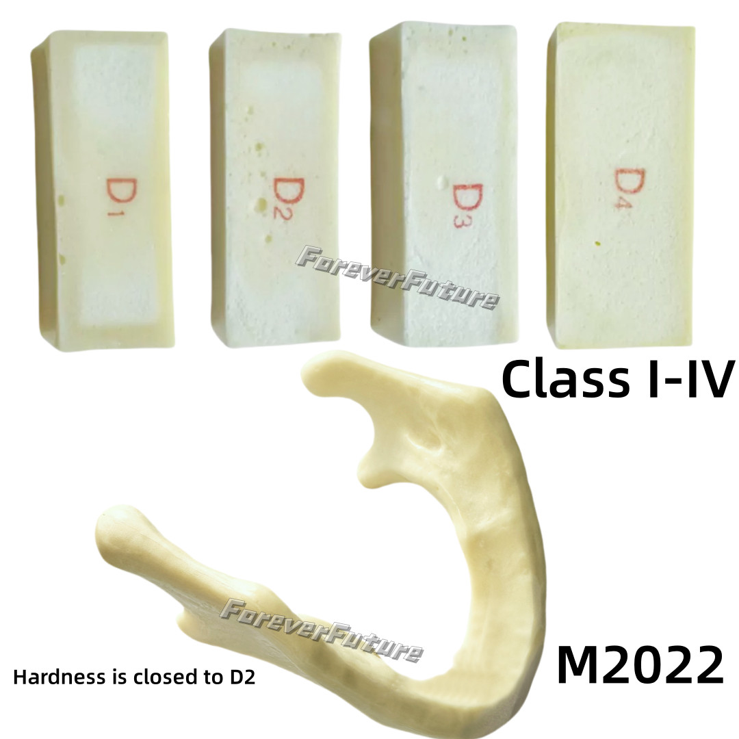 Dental Resin Alveolar Jaw Bone Replica Study Model Embed GBR Practice Blocks