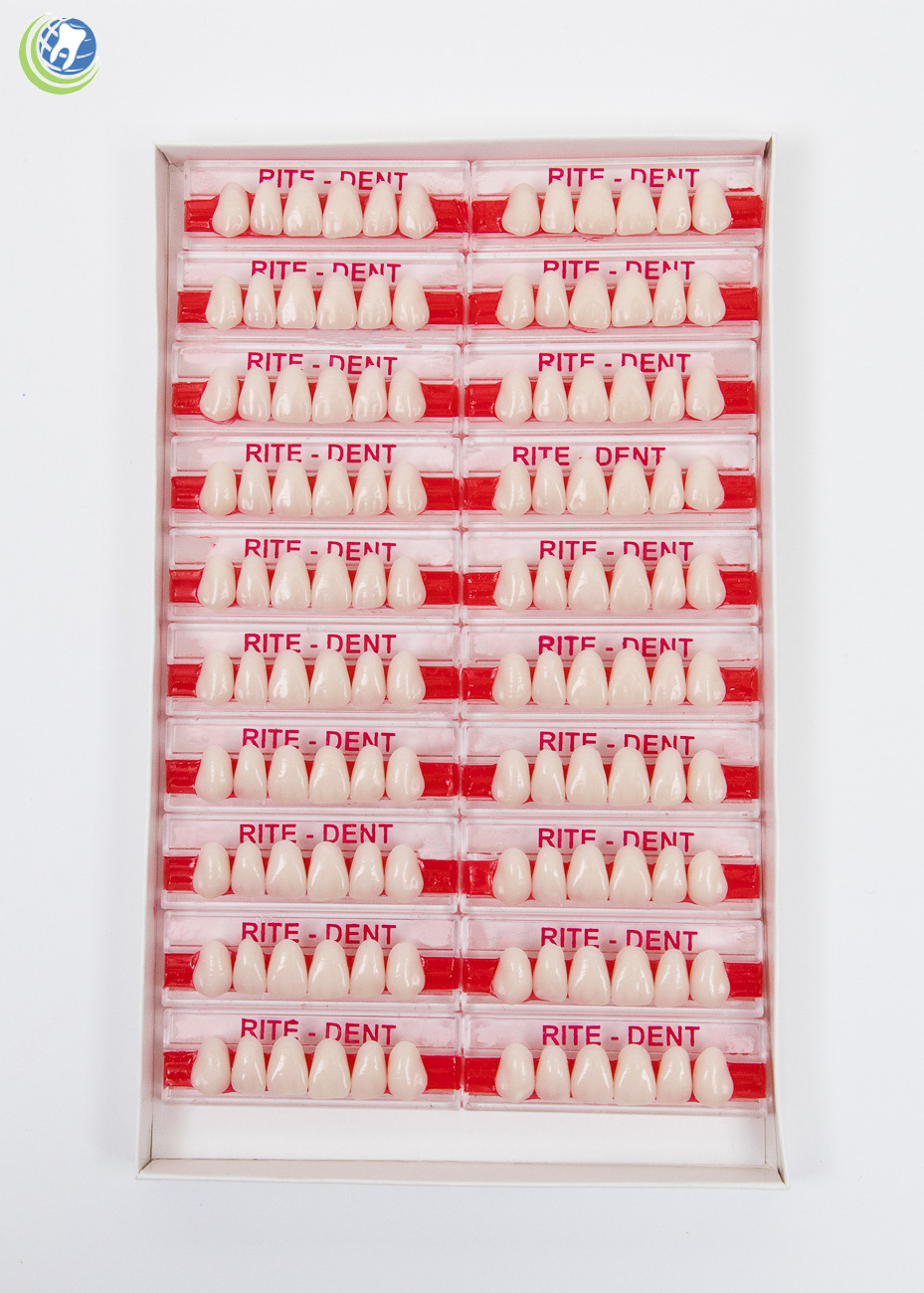 Dental Lab Upper Anterior Acrylic Resin Teeth Various Sizes & Shades 120/Box