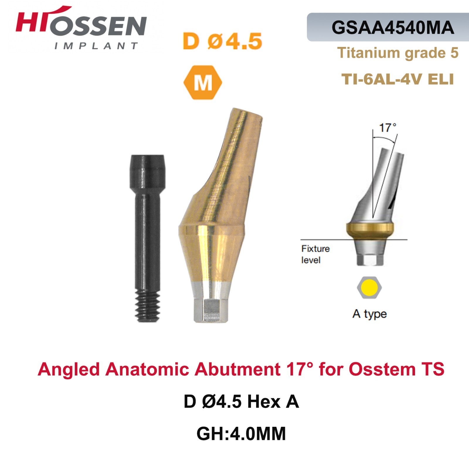 17° Angulated Angled Anatomic Abutment M/R Hex A/B Type Fit Hiossen Osstem TS