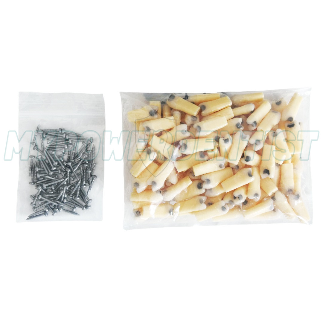 25# Dental Cavity Teeth Model Tooth Teaching Caries ModelCompatible Frasaco AG-3
