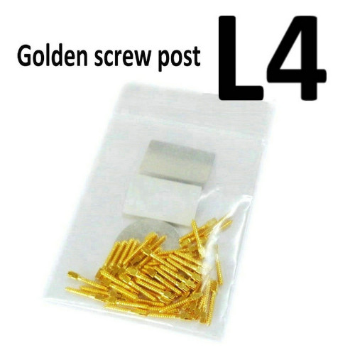 30 Pcs Dental Screw Post Endo Root Canal Conical Refills Golden/Titanium/Steel