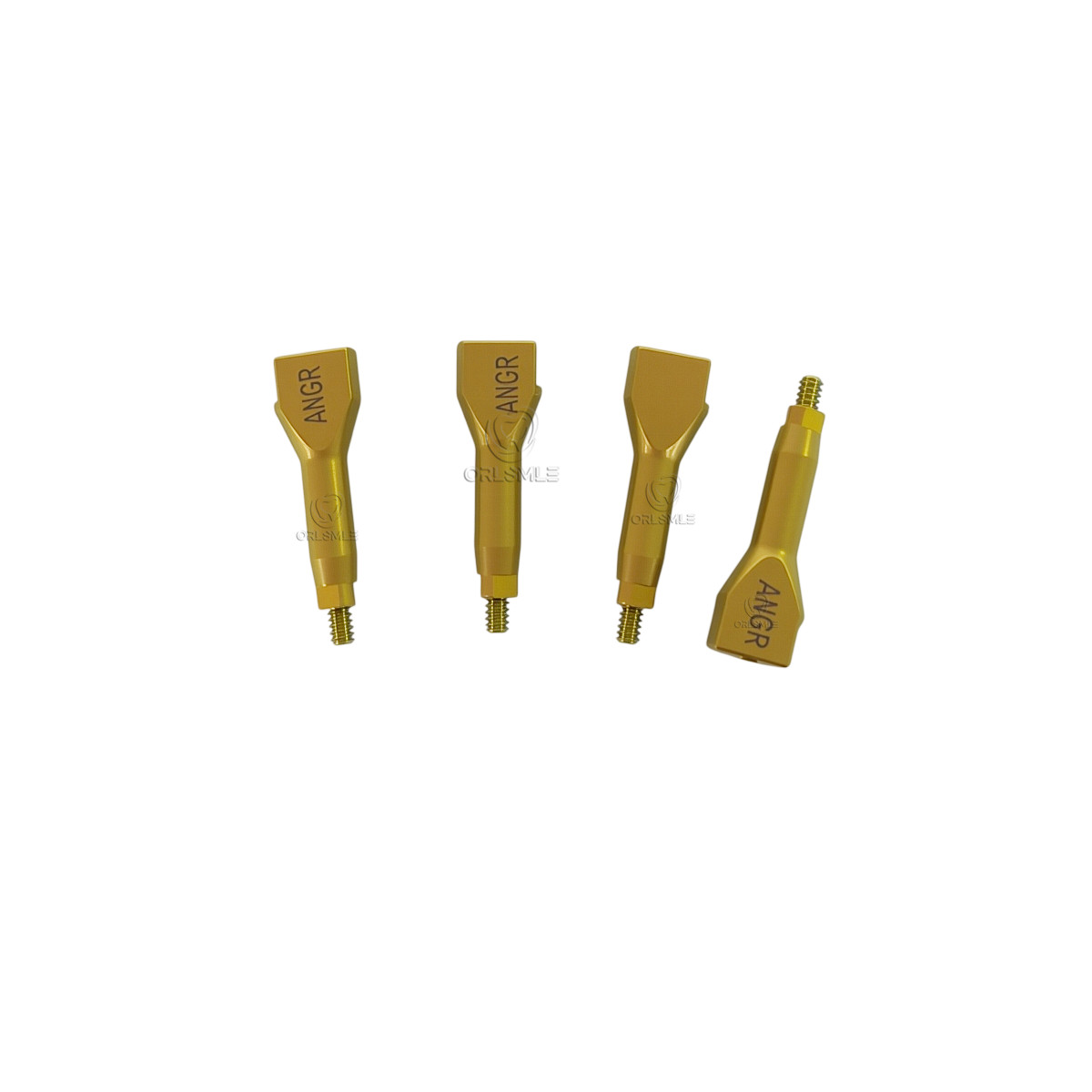 4/6/10/20 pcs Dental Scan Body CAD/CAM compatible with Anthogyr Regular