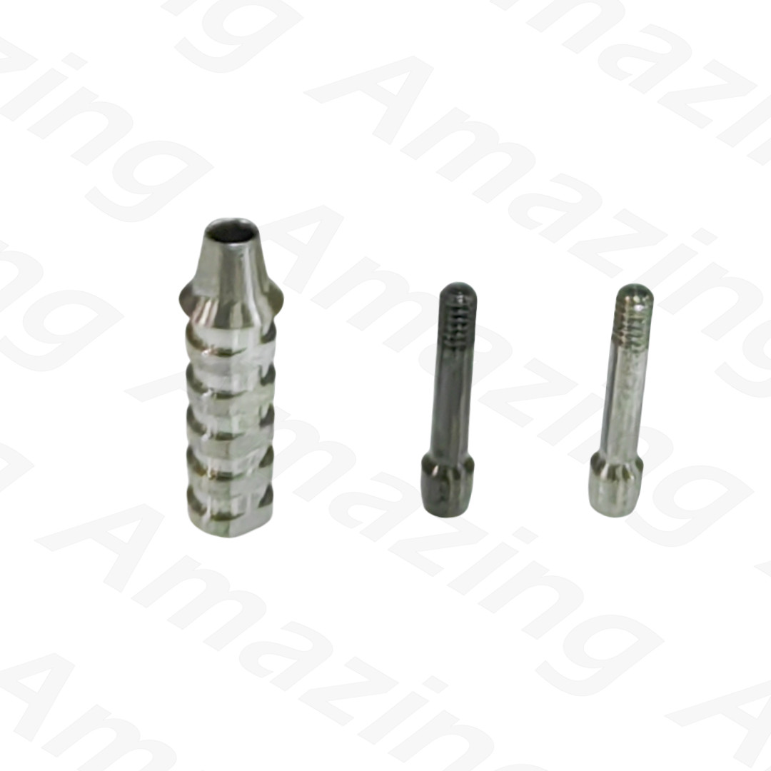 5 Pcs Non-Hex OSS HIO Dental Titanium Screws Temporary Abutment TS Regular Mini